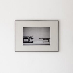 Large Aluminum-Framed Photography Print