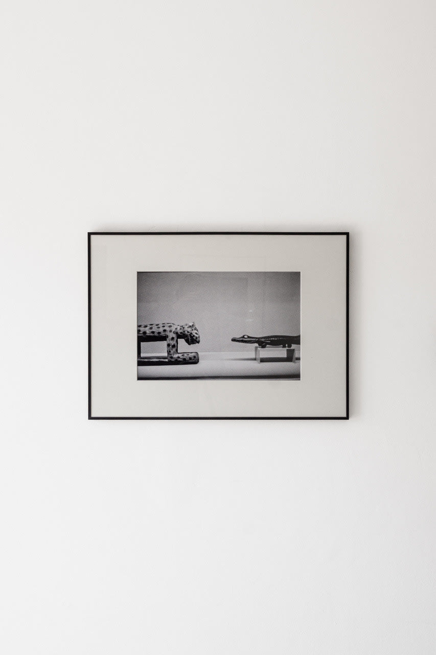 Large Aluminum-Framed Photography Print