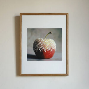 Apple Still Life Photography Print