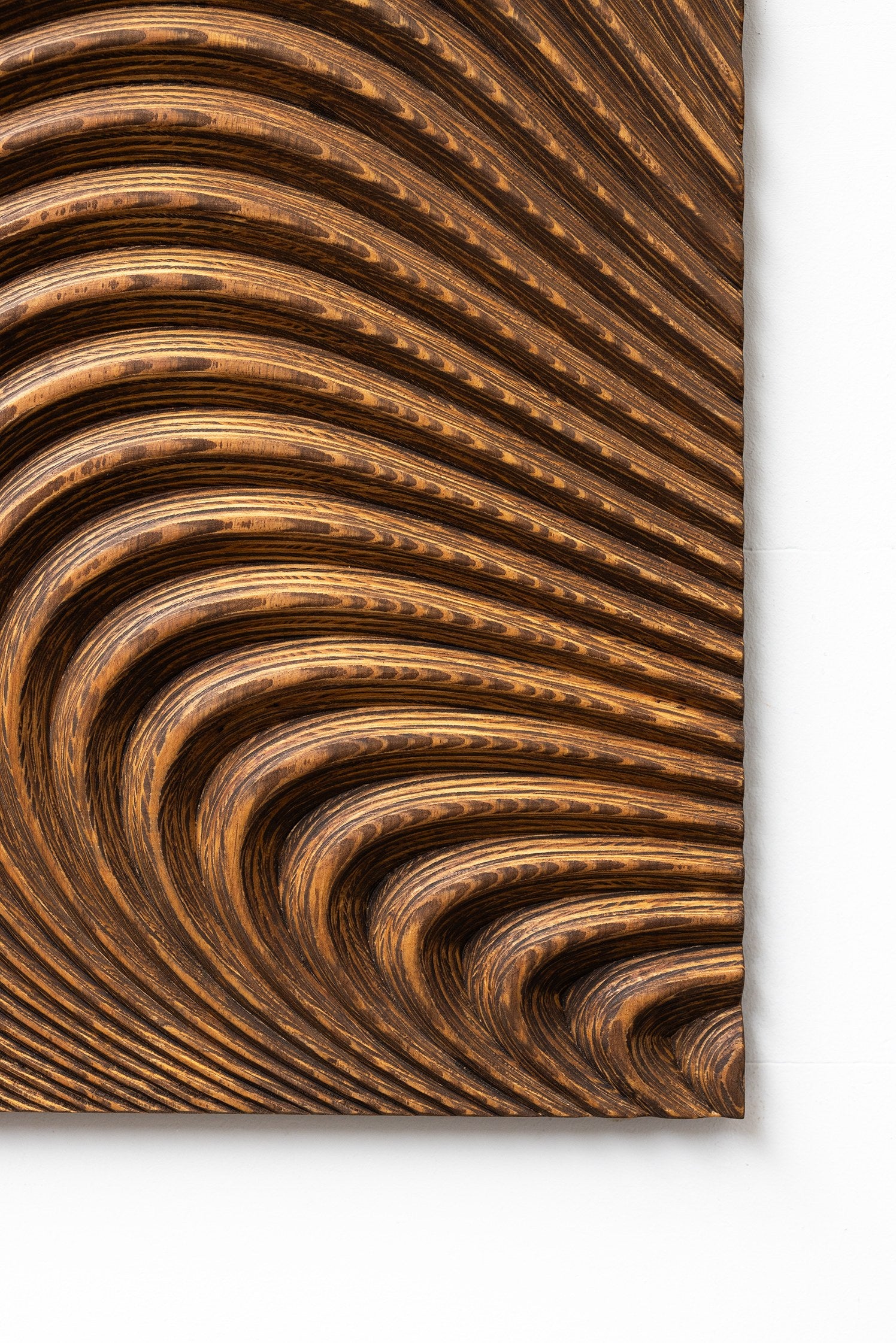 Large Organic Carved Wood Wall Sculpture - Image 2